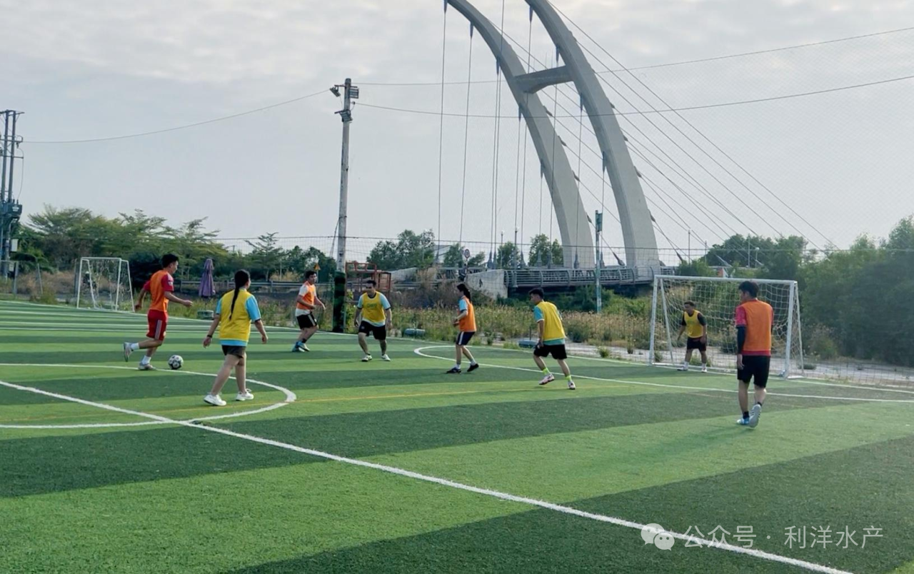 越南利洋足球賽——綠茵場上展風(fēng)采，團(tuán)隊(duì)協(xié)作助成長